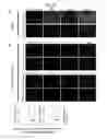 Fig. 09 - Method for inducing alveolar epithelial progenitor cells