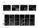 Fig. 10 - Method for inducing alveolar epithelial progenitor cells
