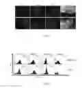 Fig. 03 - A METHOD FOR GENERATING INDUCED PLURIPOTENT STEM CELLS