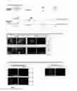 Fig. 05 - Wnt pathway stimulation in reprogramming somatic cells with nuclear reprogramming factors
