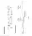Fig. 02 - RECOMBINANT VIRUS AND PREPARATIONS THEREOF