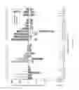 Fig. 08 - RECOMBINANT VIRUS AND PREPARATIONS THEREOF