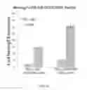 Fig. 28 - RECOMBINANT VIRUS AND PREPARATIONS THEREOF