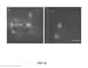 Fig. 30 - RECOMBINANT VIRUS AND PREPARATIONS THEREOF