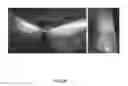 Fig. 31 - RECOMBINANT VIRUS AND PREPARATIONS THEREOF