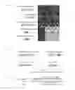 Fig. 34 - RECOMBINANT VIRUS AND PREPARATIONS THEREOF