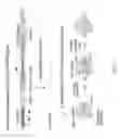 Fig. 43 - RECOMBINANT VIRUS AND PREPARATIONS THEREOF