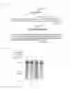 Fig. 44 - RECOMBINANT VIRUS AND PREPARATIONS THEREOF