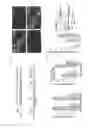 Fig. 57 - RECOMBINANT VIRUS AND PREPARATIONS THEREOF