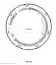 Fig. 67 - RECOMBINANT VIRUS AND PREPARATIONS THEREOF