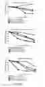 Fig. 02 - Chimeric newcastle disease viruses and uses thereof