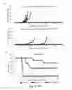 Fig. 13 - Chimeric newcastle disease viruses and uses thereof