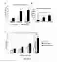 Fig. 14 - Chimeric newcastle disease viruses and uses thereof