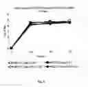 Fig. 16 - Chimeric newcastle disease viruses and uses thereof