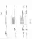 Fig. 26 - Lyase Enzymes, Nucleic Acids Encoding Them and Methods for Making and Using Them