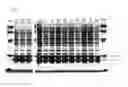 Fig. 06 - Nitrile hydratase