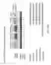 Fig. 13 - Stablized EZH2 peptides