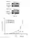 Fig. 17 - Stablized EZH2 peptides