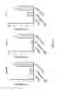 Fig. 26 - Stablized EZH2 peptides