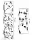 Fig. 30 - Stablized EZH2 peptides