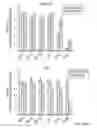 Fig. 31 - Stablized EZH2 peptides