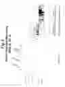 Fig. 07 - Polynucleotides and polypeptide sequences involved in the process of bone remodeling