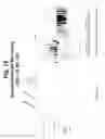 Fig. 14 - Polynucleotides and polypeptide sequences involved in the process of bone remodeling