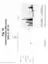 Fig. 16 - Polynucleotides and polypeptide sequences involved in the process of bone remodeling