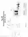 Fig. 25 - Polynucleotides and polypeptide sequences involved in the process of bone remodeling