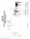 Fig. 26 - Polynucleotides and polypeptide sequences involved in the process of bone remodeling