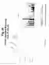 Fig. 31 - Polynucleotides and polypeptide sequences involved in the process of bone remodeling