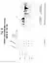 Fig. 40 - Polynucleotides and polypeptide sequences involved in the process of bone remodeling