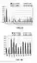 Fig. 03 - Short interfering nucleic acid (siNA) molecules containing a 2′ internucleoside linkage