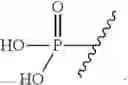 Fig. 17 - Short interfering nucleic acid (siNA) molecules containing a 2′ internucleoside linkage