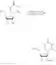 Fig. 41 - Short interfering nucleic acid (siNA) molecules containing a 2′ internucleoside linkage