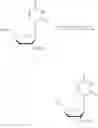 Fig. 44 - Short interfering nucleic acid (siNA) molecules containing a 2′ internucleoside linkage
