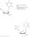 Fig. 45 - Short interfering nucleic acid (siNA) molecules containing a 2′ internucleoside linkage