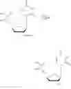Fig. 46 - Short interfering nucleic acid (siNA) molecules containing a 2′ internucleoside linkage