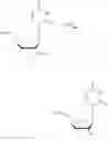 Fig. 48 - Short interfering nucleic acid (siNA) molecules containing a 2′ internucleoside linkage
