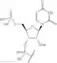 Fig. 56 - Short interfering nucleic acid (siNA) molecules containing a 2′ internucleoside linkage