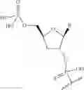 Fig. 58 - Short interfering nucleic acid (siNA) molecules containing a 2′ internucleoside linkage