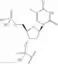 Fig. 59 - Short interfering nucleic acid (siNA) molecules containing a 2′ internucleoside linkage