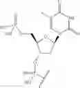 Fig. 60 - Short interfering nucleic acid (siNA) molecules containing a 2′ internucleoside linkage