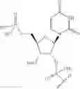 Fig. 61 - Short interfering nucleic acid (siNA) molecules containing a 2′ internucleoside linkage
