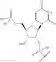 Fig. 62 - Short interfering nucleic acid (siNA) molecules containing a 2′ internucleoside linkage