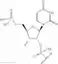 Fig. 63 - Short interfering nucleic acid (siNA) molecules containing a 2′ internucleoside linkage