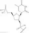Fig. 65 - Short interfering nucleic acid (siNA) molecules containing a 2′ internucleoside linkage