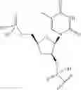 Fig. 66 - Short interfering nucleic acid (siNA) molecules containing a 2′ internucleoside linkage