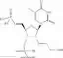 Fig. 72 - Short interfering nucleic acid (siNA) molecules containing a 2′ internucleoside linkage
