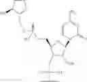 Fig. 75 - Short interfering nucleic acid (siNA) molecules containing a 2′ internucleoside linkage